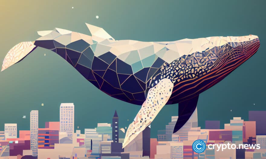 Bitcoin whale addresses increase as price maintains $26k support